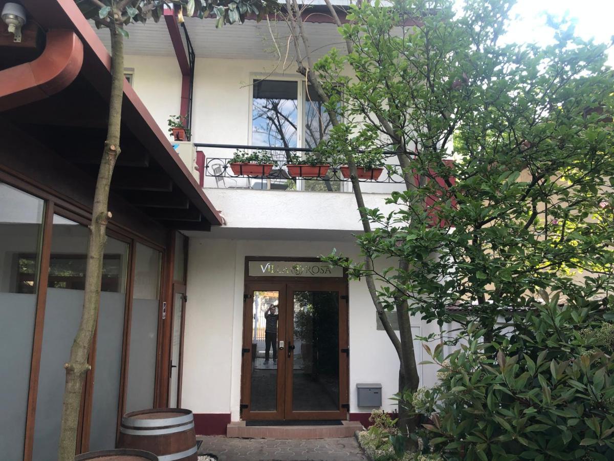 Villa Rosa Timişoara Extérieur photo